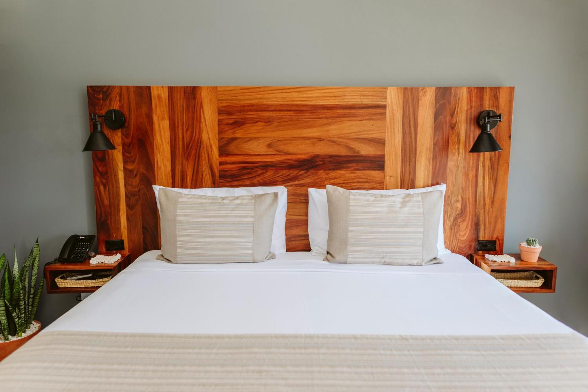 Six Two Four Urban Beach Hotel San José del Cabo Oda fotoğraf